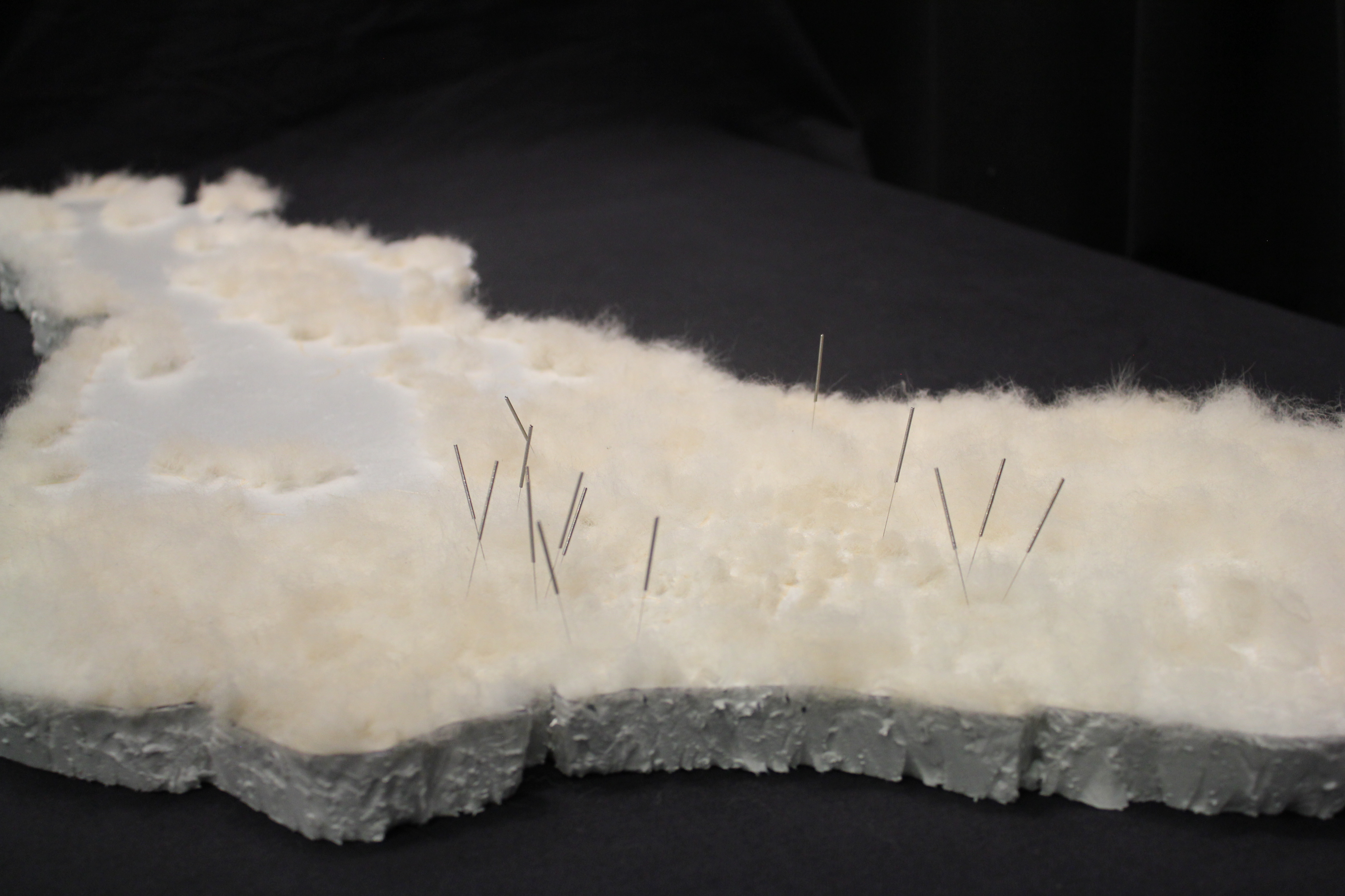 View of the map with several acupuncture needles and fur covering